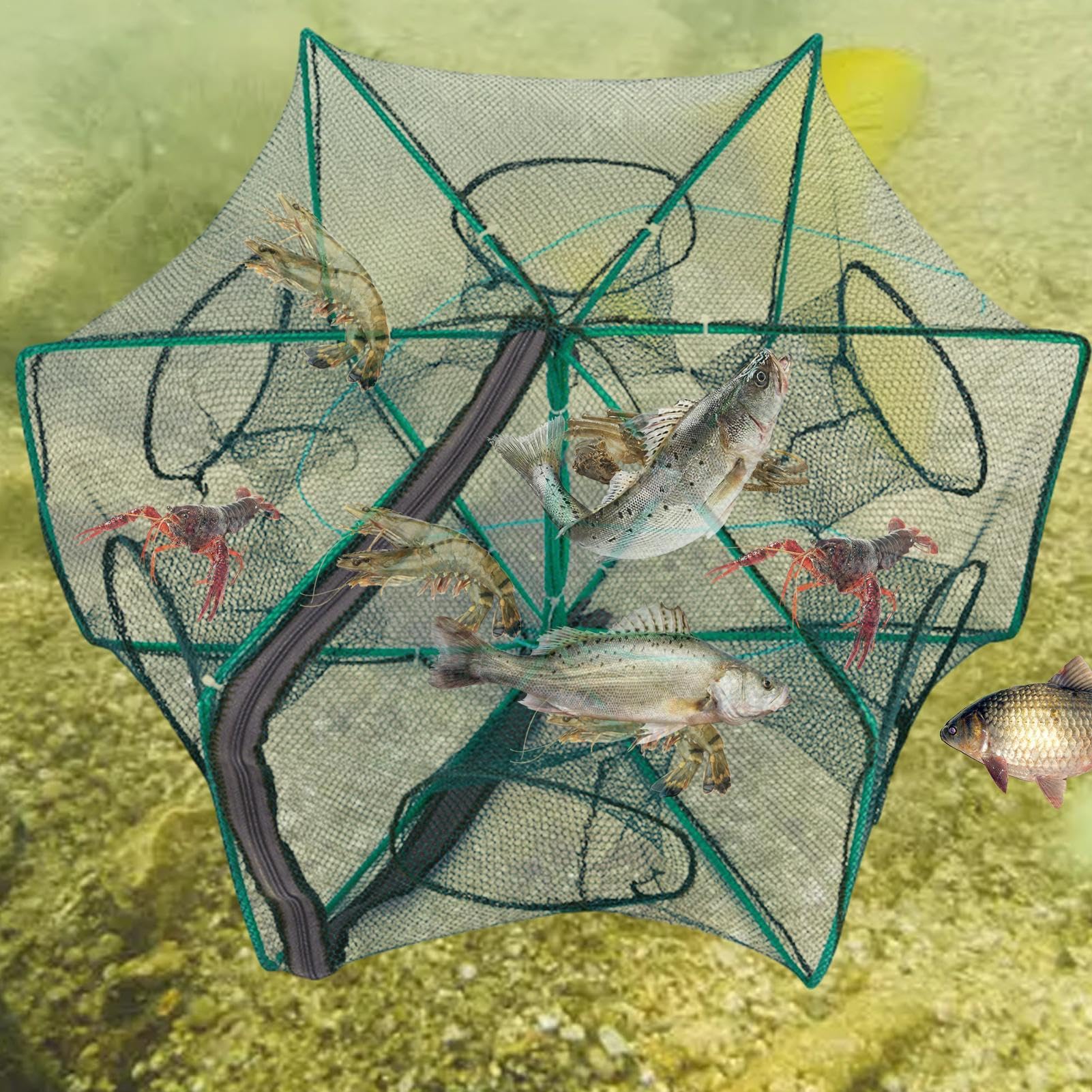 Amazon | MLqkpwy 漁具 釣り 魚取り網 仕掛け 6穴 爆釣 魚 網 お魚 