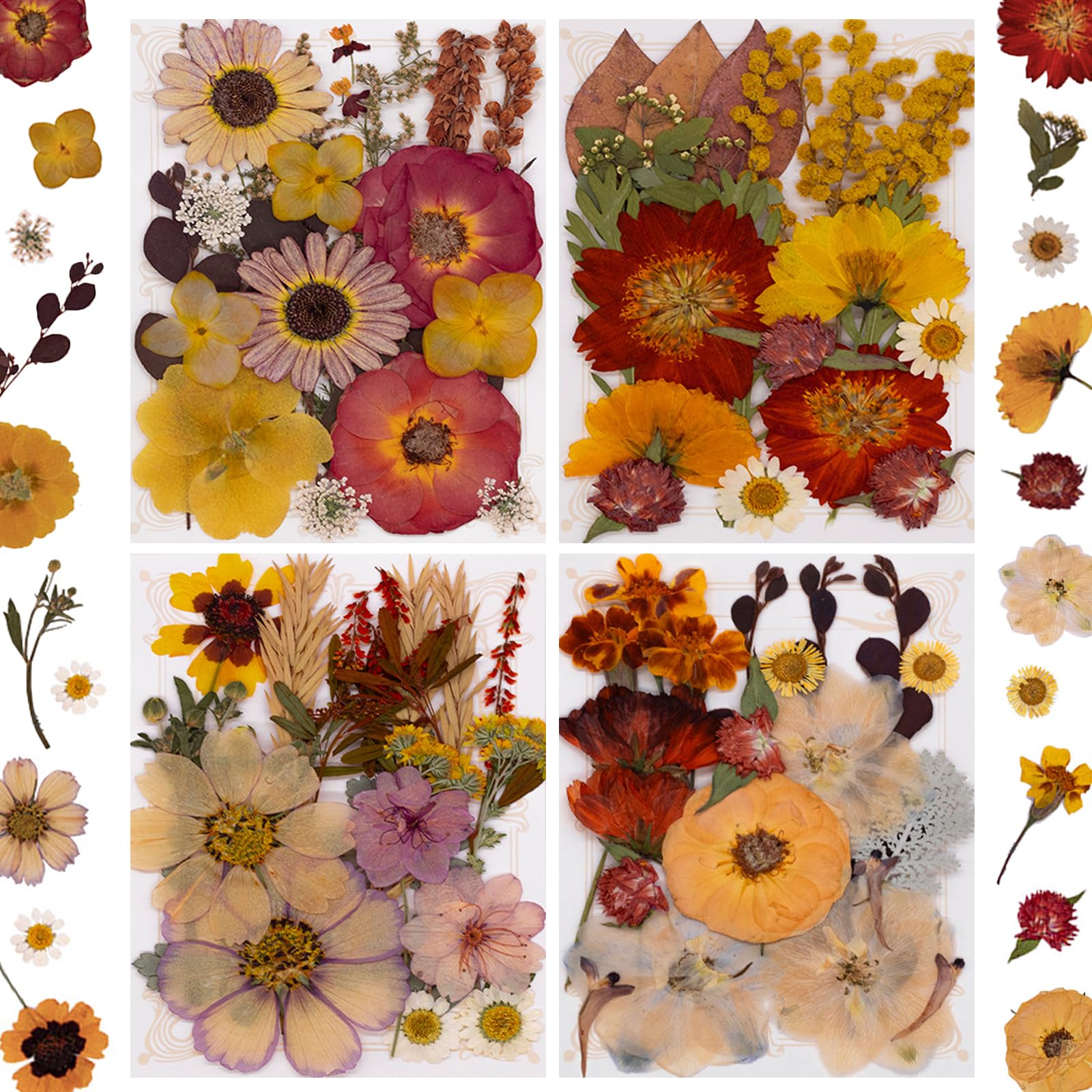 LUCISKY 82Pcs Dried Pressed Flowers - dried and preserved flora | Mubboo