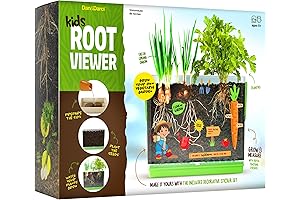 Enthralling Root Viewer Kit: A Captivating STEM Adventure for Budding Botanists