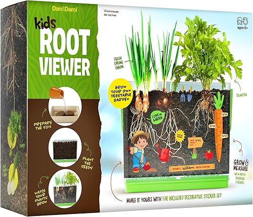 Kit de visor de raíces para niños  Cultiva tu propia planta para niños y niñas  Juguetes de ciencia STEM y kits de cultivo de manualidades para disponible en Yaxa Costa Rica