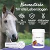 PHA Antistress Powder for Horses - Soothing Anxiety & Stress Transport Training Stable Changing with Nerve Herbs Magnesium Horse Zinc & L-Tryptophan 850 g without Sugar