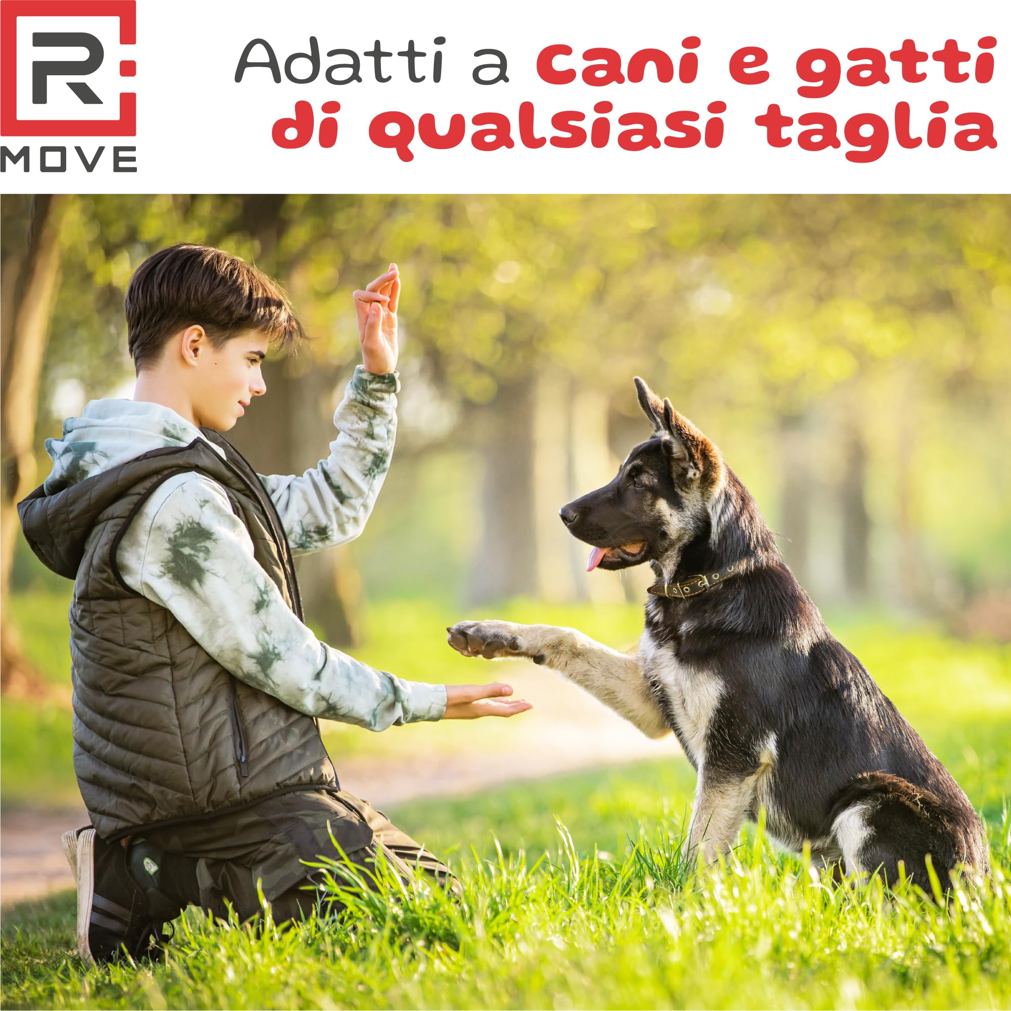 R MOVE Sacchetti Cane Cacca 810 pz (54 Rotoli) - Sacchettini Igienici per Cani, bustine per cani, dog poop bags resistenti antiforatura, 30x23 cm 2,5 Litri compatibili con tutti i porta rotoli