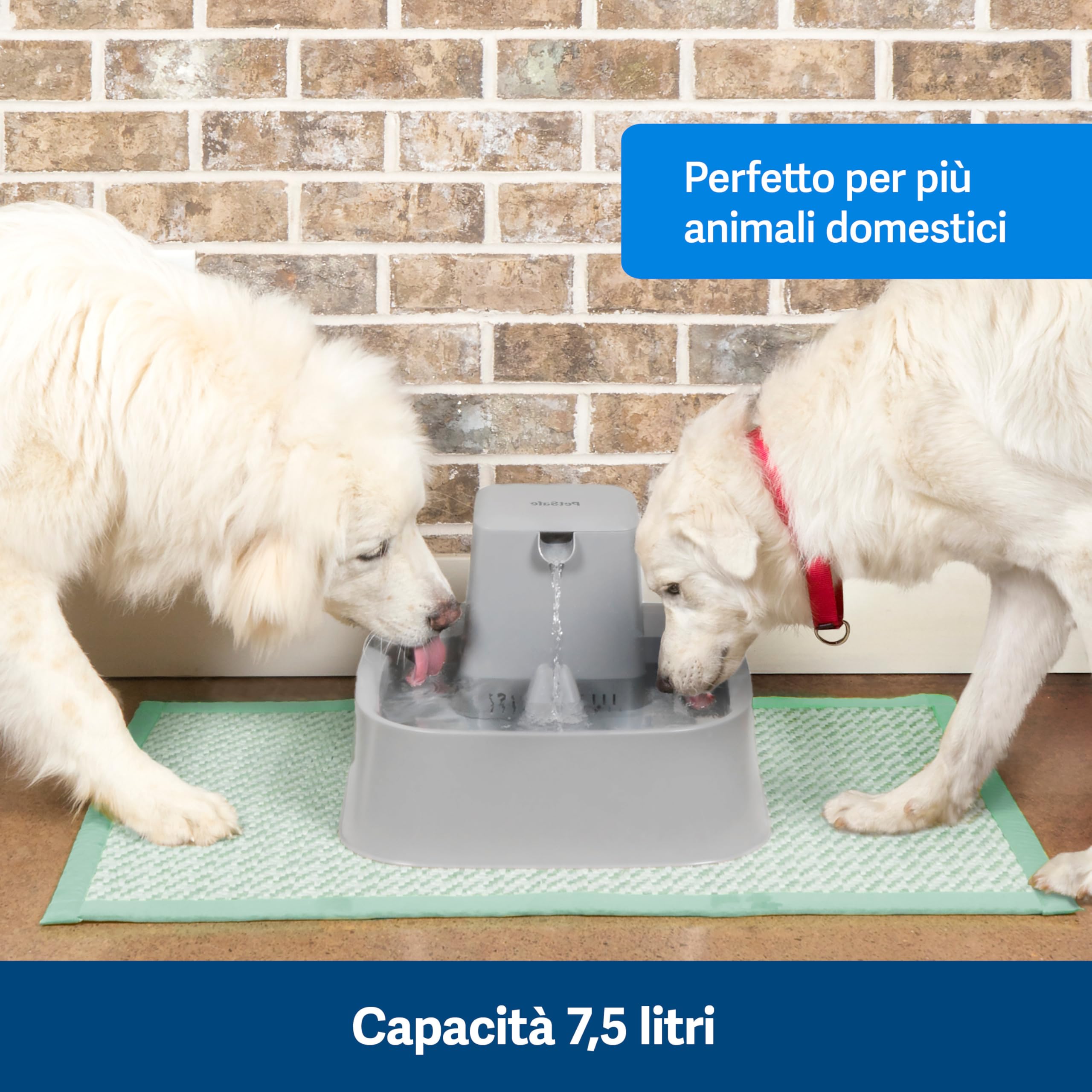 PetSafe Drinkwell - Fontana per Bere per Cani e Gatti con Ampia Superficie di Abbeveraggio, Struttura Pensata per Baffi Sensibili e Capacità di 7,5 Litri