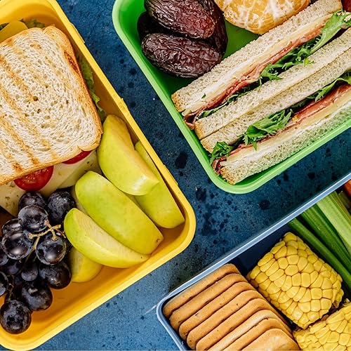 Miniatura 7 de PATIKIL Bolsas de almuerzo aisladas de 11 x 8 x 3 pulgadas, bolsas portátiles para alimentos, bolsas Bento planas, reutilizable, térmica, para