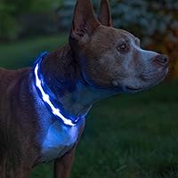 Vista 10 de Blazin - Collares luminosos para perros, collar led original para perros con 1,000 pies de visibilidad, recargable mediante USB e impermeable