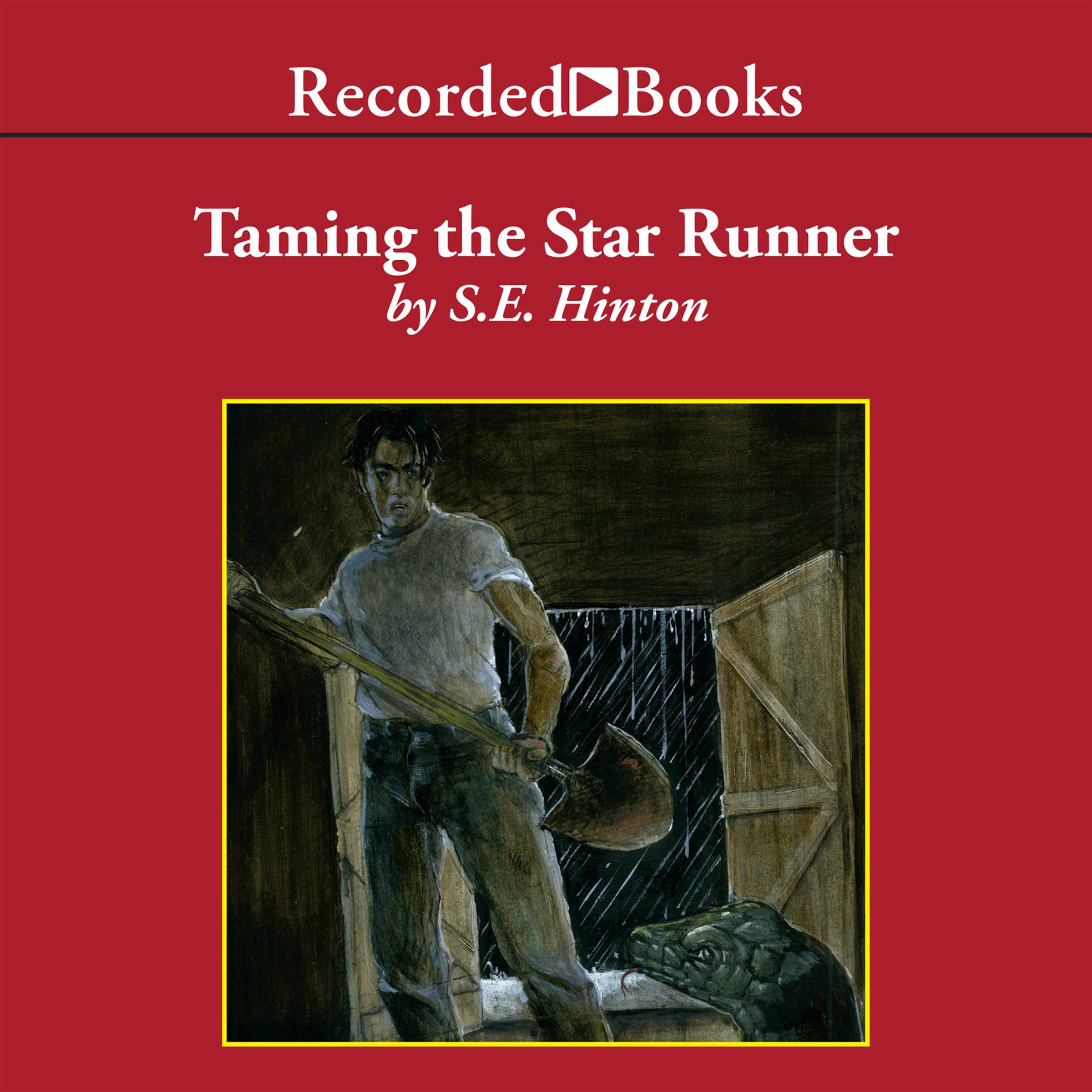 Cover art for Taming the Star Runner
