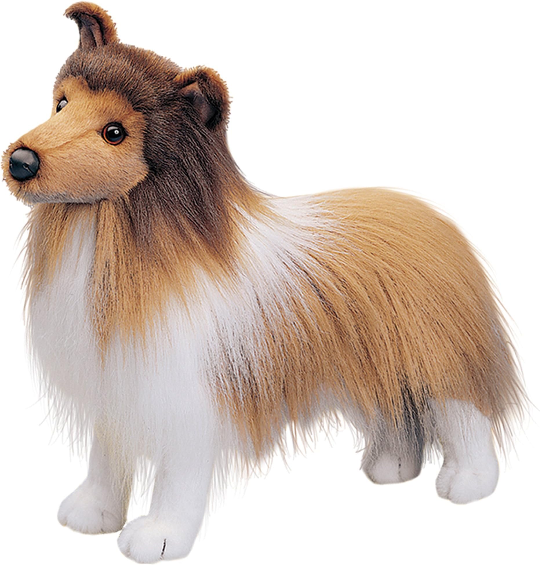 Douglas Dixie Sheltie