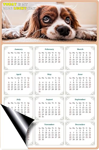 Miniatura 2 de Calendario magnético 2024  Imanes del calendario  Today is my Lucky Day  Resistente a la decoloración, desgarros y agua  Temático de perros 01 (5.25