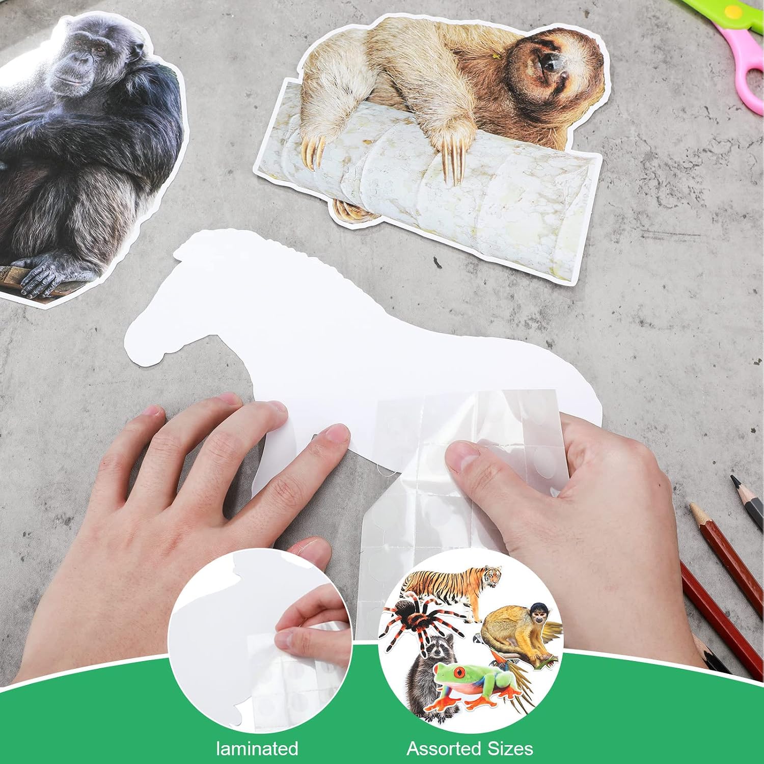 Fuutreo 36 Pcs Jungle Animals Cutouts Jungle Bulletin Board Decorations Realistic Rainforest Animals Figures Cutouts Jumbo Safari Cut Out Rainforest Bulletin Board Activities Party Decor