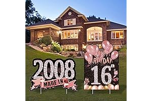 2Pcs Sweet 16 Birthday Yard Signs Decorations