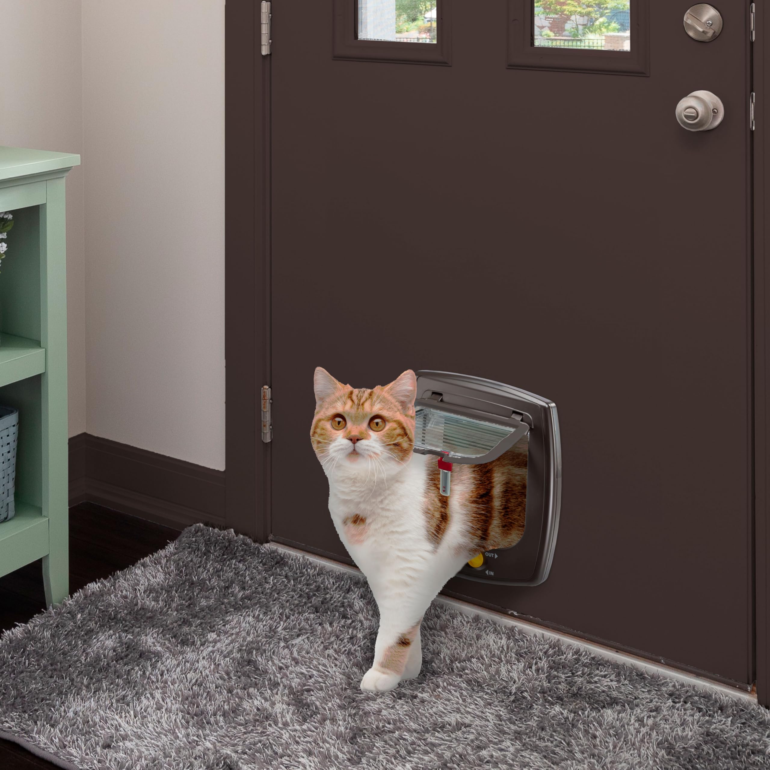 Ferplast Gattaiola, Porta per Gatti, Entrata e uscita controllabile 4 vie, Protezione da Correnti d'Aria, Porticina per Cani Gatti, Taglia S, Marrone