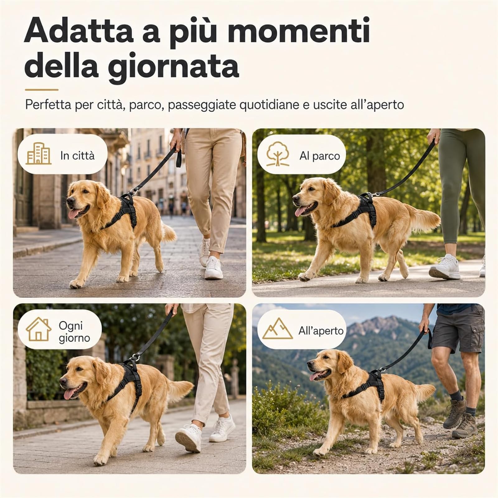 Veltrio Pettorina Cane Antitiro, Pettorina Anti Trazione Regolabile e Riflettente per Cani Piccoli e Medi, Comoda per Passeggiate e Addestramento