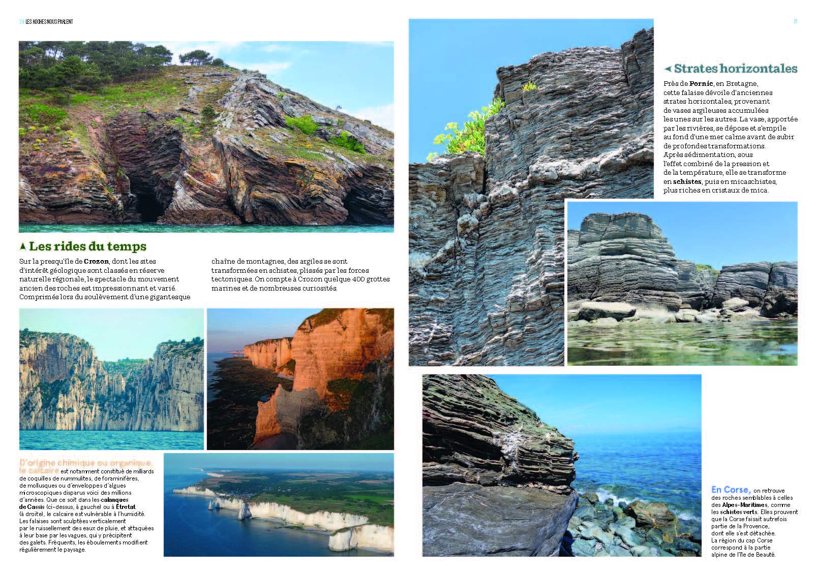 La Nature en bord de mer