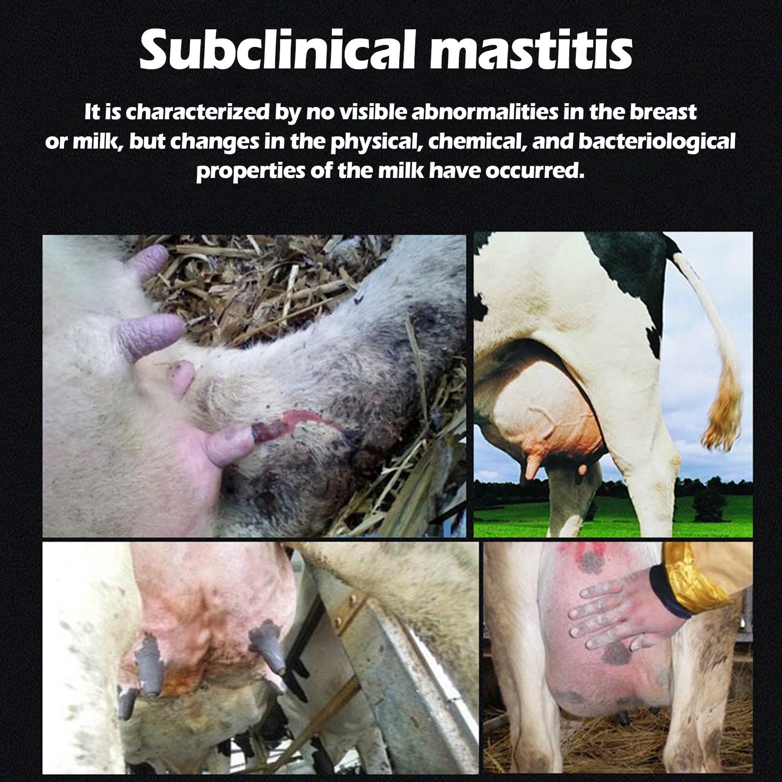 Probador de mastitis de vaca, equipo de prueba veterinario portátil, interruptor impermeable, batería extraíble para monitoreo de salud animal