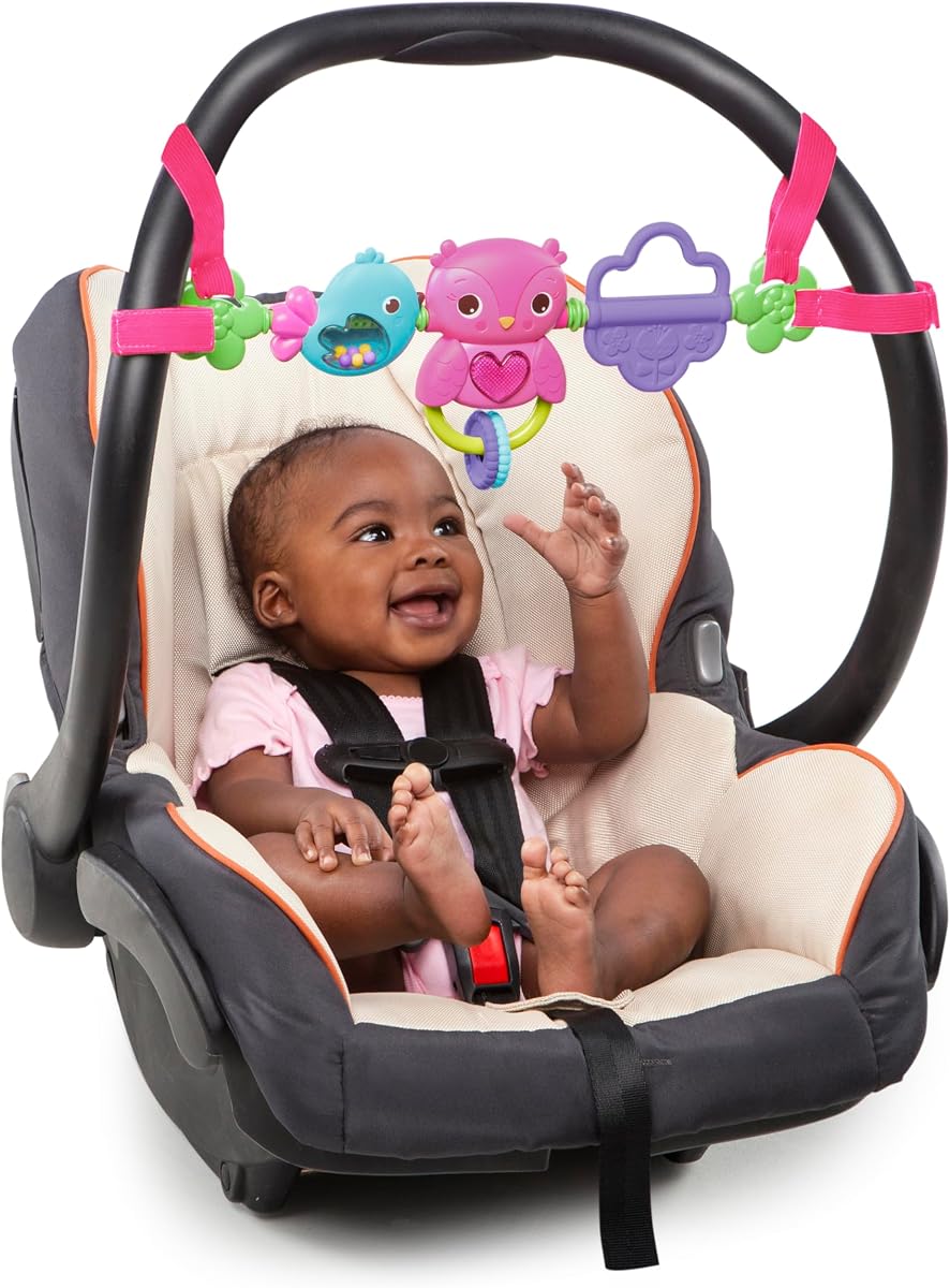 Busy Birdies Carrier Toy Bar Juguete musical para llevar con luces, para recién nacidos y mayores, rosa
