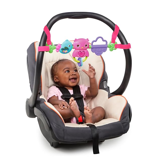 Bright Starts Busy Birdies, Barra de Juguete Portátil para el Asiento del Coche o Cochecito, Juguete Musical con Luces, Edades Recién Nacido +
