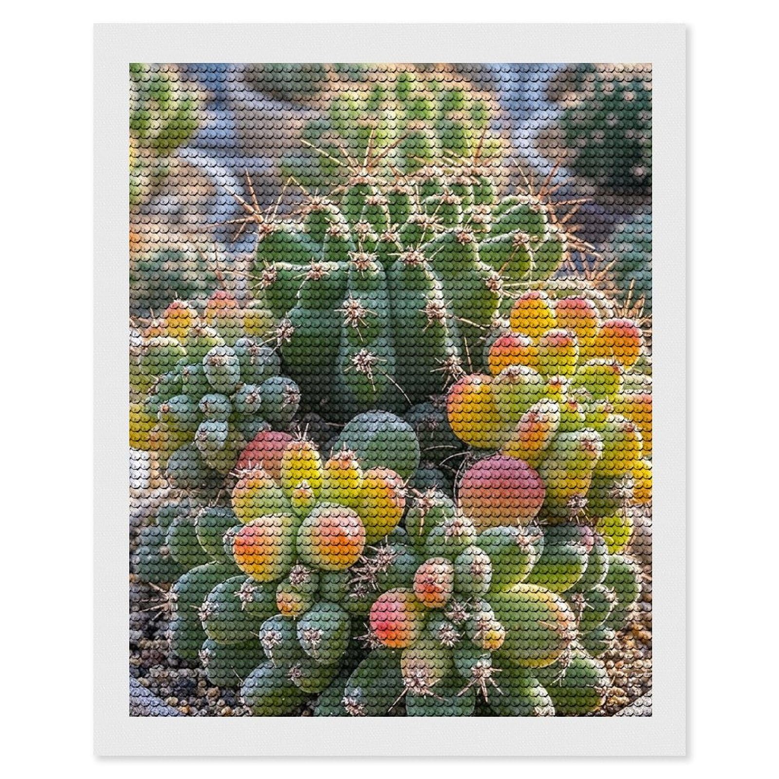 Cute Succulent Cactus Diamond Painting Kits for Adults, DIY 5D Diamond Painting Kits for Beginners, Round Full Drill Diamond Dots Paintings, Diamonds Pictures Gem Art for Crafts Home Decor 16"x20"