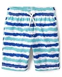 The Children&apos;s Place Boys&apos; Swim Trunks