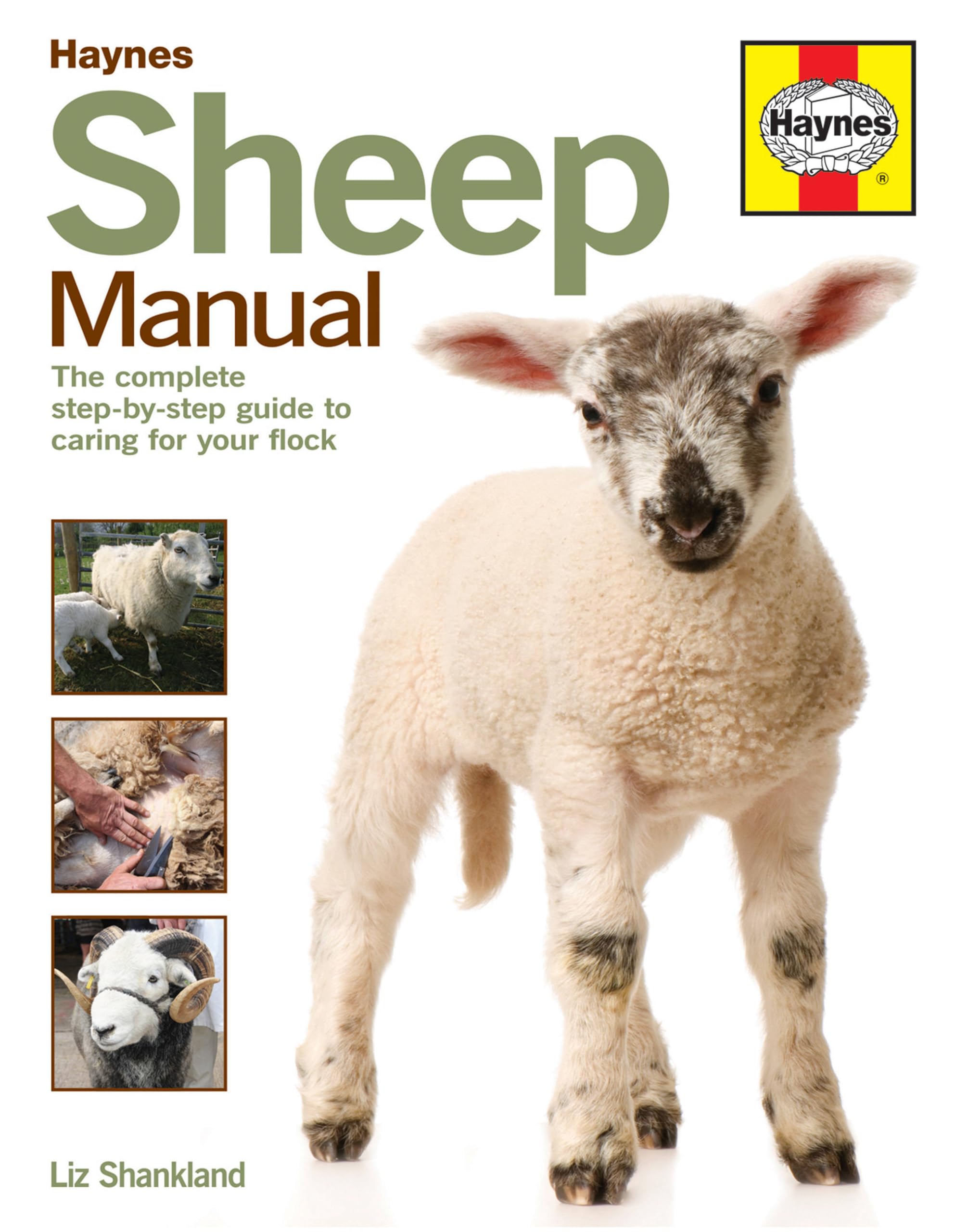 Buy Sheep Manual: The complete step-by-step guide to caring for your flock (Haynes Manuals) — BookShops.in