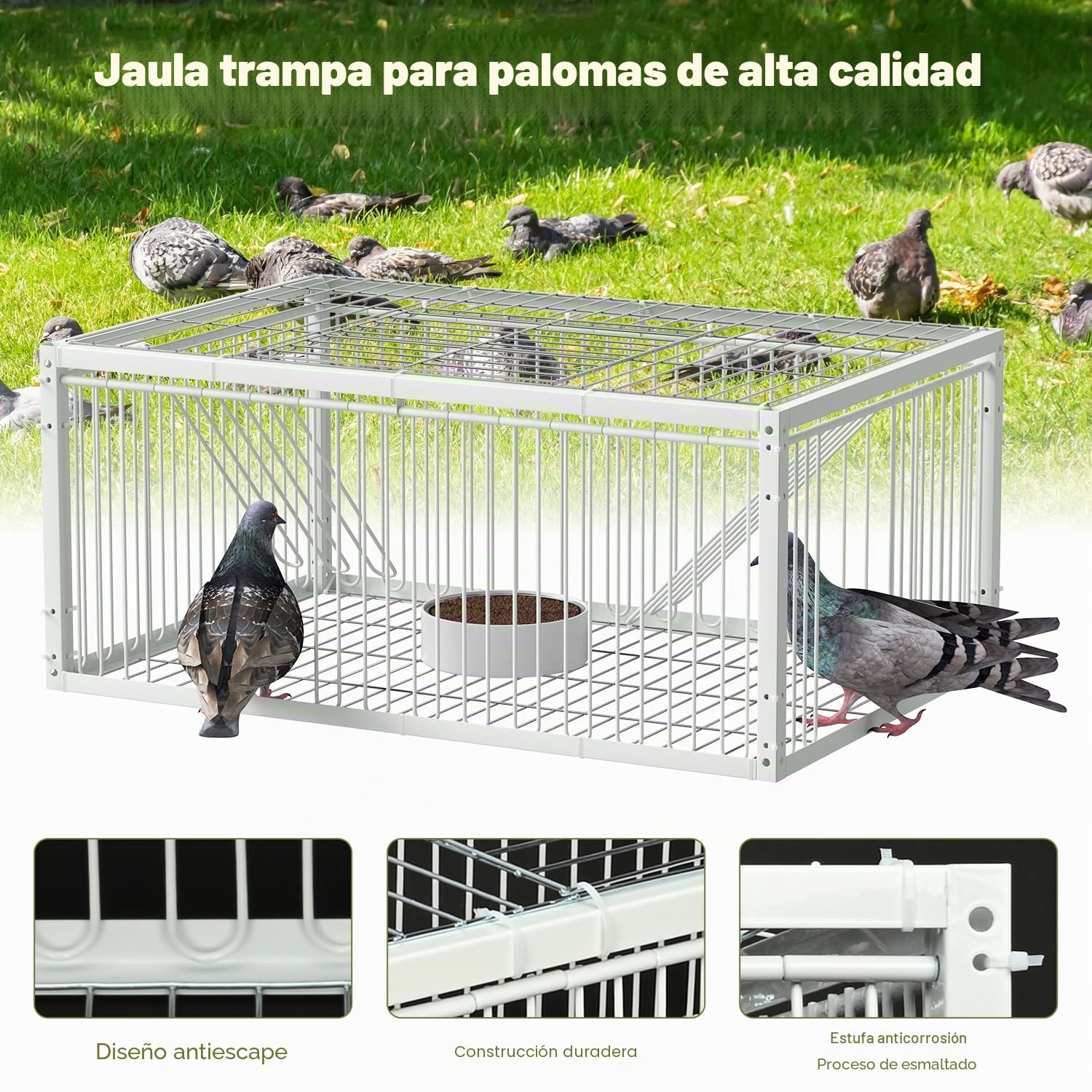 Jaula de trampa para palomas con entrada unidireccional (4 puertas), jaula de captura de pájaros, jaula de trampa automática con diseño a prueba de escape, jaula para pájaros para palomas de