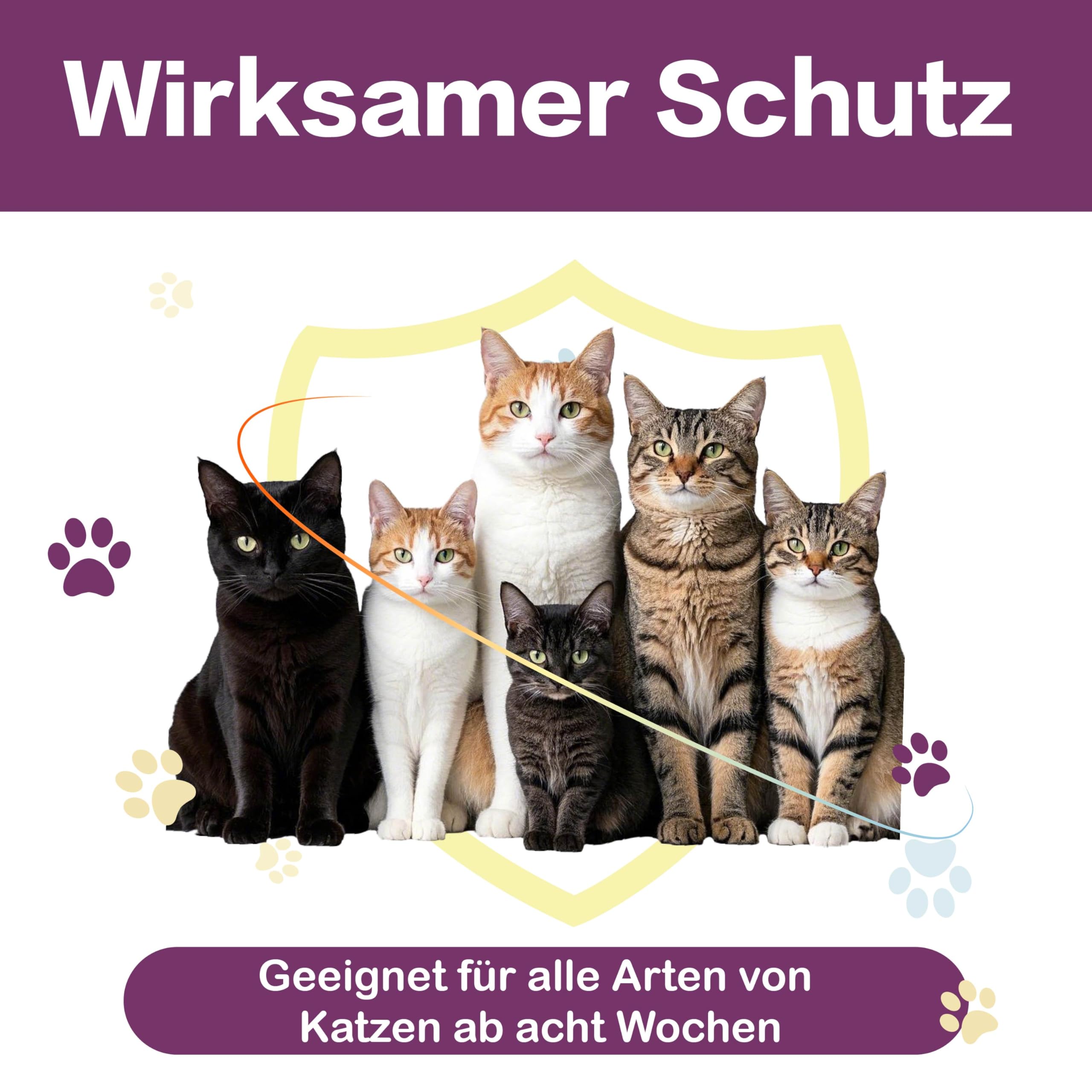 Zeckenschutz für Katzen 6 Pipetten, Spot On Katzen, Zeckenmittel für Katze, Katze flohmittel entwurmungsmittel für Katzen, gegen Flöhe & Zecken