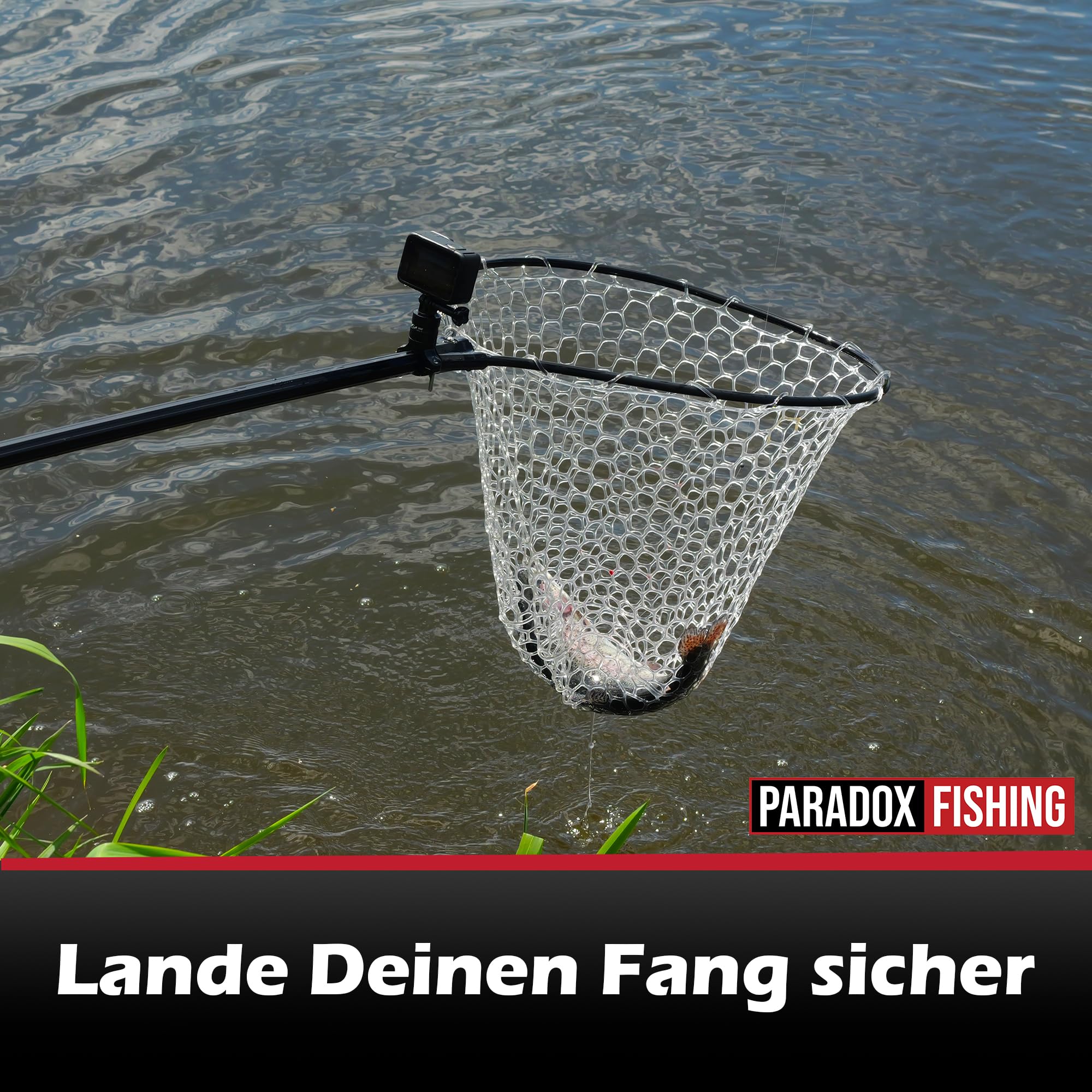 Paradox Fishing Retino per trote, 1,9 m, per laghetto trota, rete in gomma trasparente per un minimo effetto abrasivo, retino telescopico delicato sui pesci, 50 x 45 x 45 cm, testa rimovibile e manico