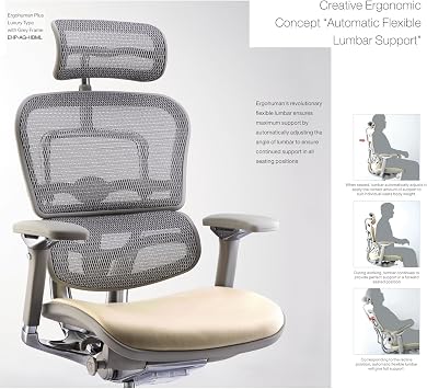 Ergohuman Executive Chairs (Gray)