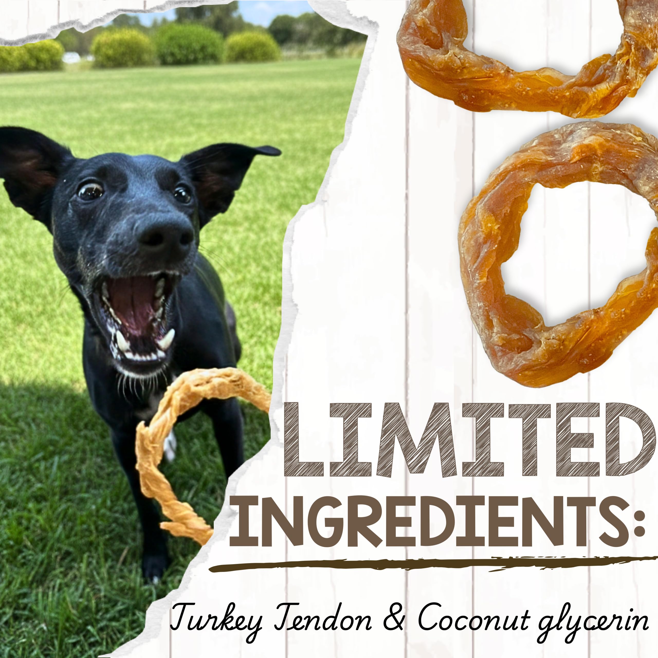 Nature Gnaws Anillos de tendón de pavo para perros (8 onzas) – Delicioso aperitivo de recompensa sin granos para razas pequeñas, medianas y grandes – Golosinas naturales de primera calidad para perros