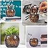 Product Photo 6