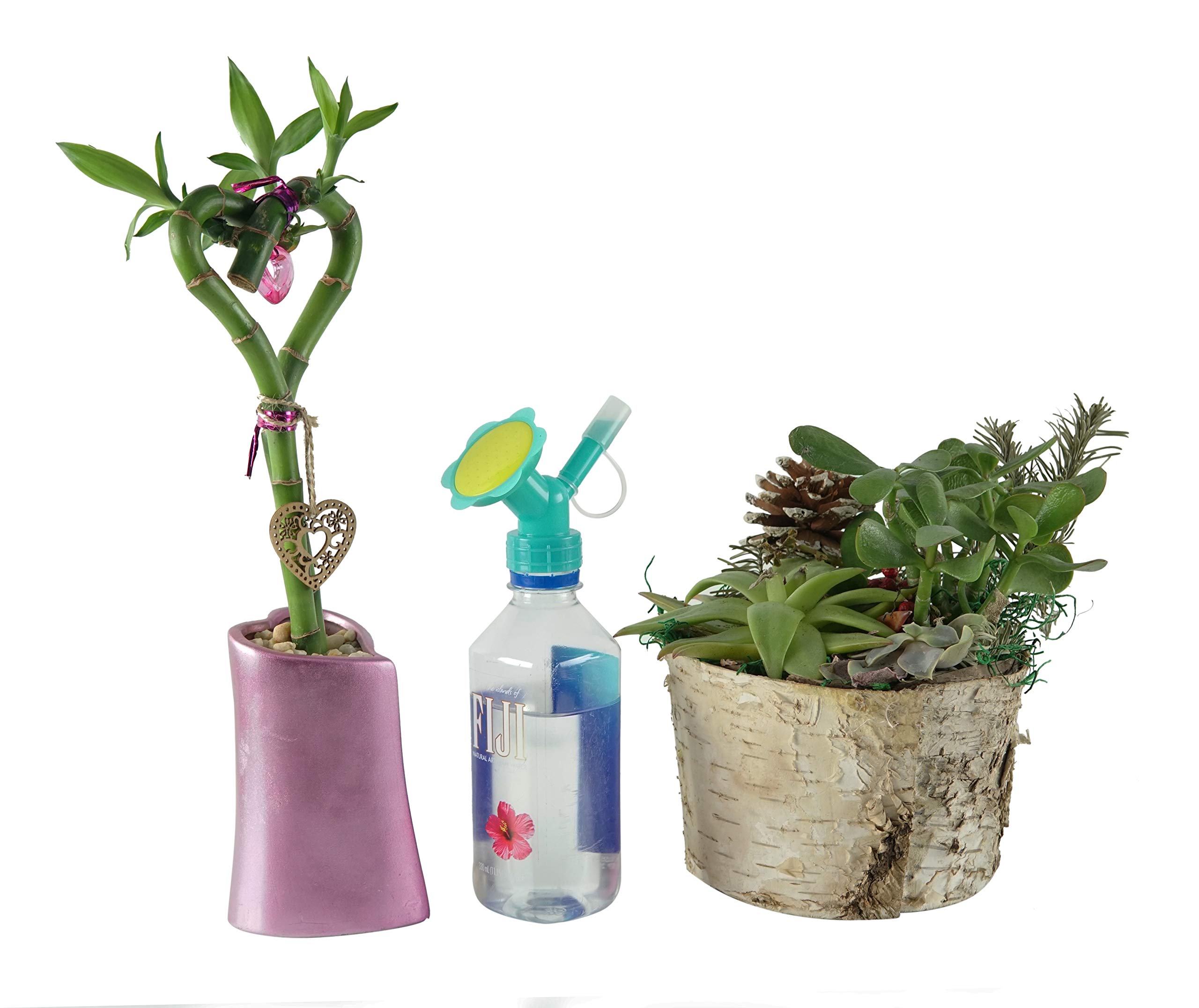 Home-X Bottle Cap Sprinkler, Dual Head Bottle Watering Spout, Bonsai Watering Can for Indoor Seedlings -Home Garden Mister Accessories