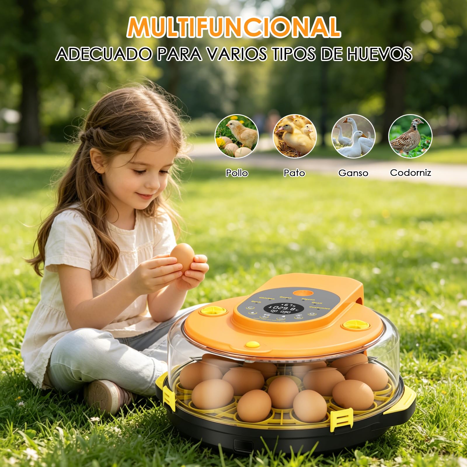 Incubadora Huevos Gallina, Incubadora Automatica para 15 Huevos Volteo Automático de Huevos, Control de Temperatura y Humedad, Adecuado para la Incubación de Huevos de Gallina, Pato, Ganso