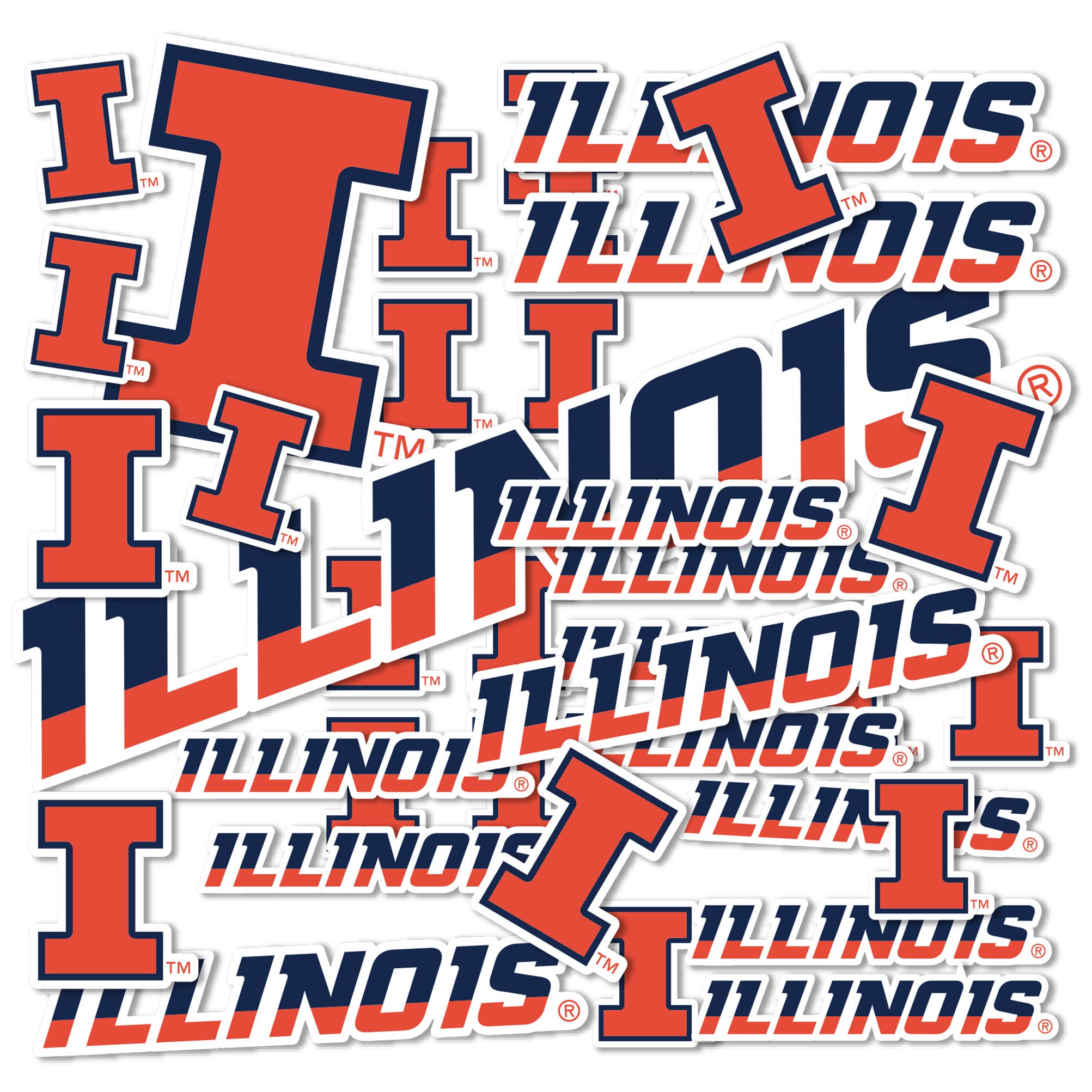 Desert Cactus University of Illinois Sticker Fighting Illini U of I Vinyl Decals Laptop Water Bottle Car Scrapbook Sheet T1 (Type 1-1)