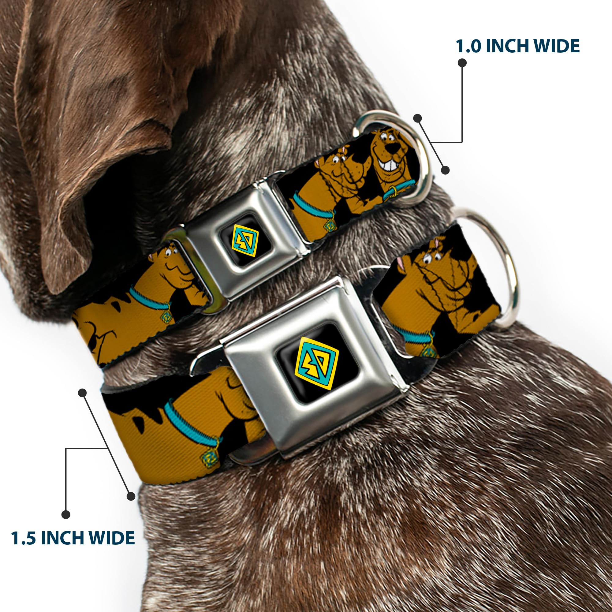 Buckle-Down Seatbelt Buckle Dog Collar-Scooby Doo Stacked Close-UP Buckle-Down Seatbelt Buckle Dog Collar-Scooby Doo Stacked Close-UP