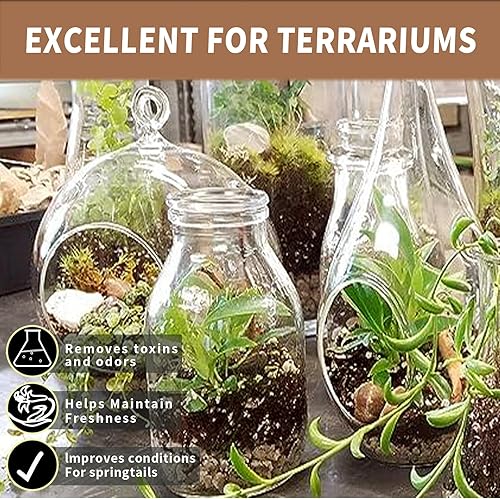 Miniatura 4 de Carbón activado orgánico para jardín, carbón hortícola orgánico y carbón de invernadero hecho de subproductos, carbón de madera pura para cultivo y