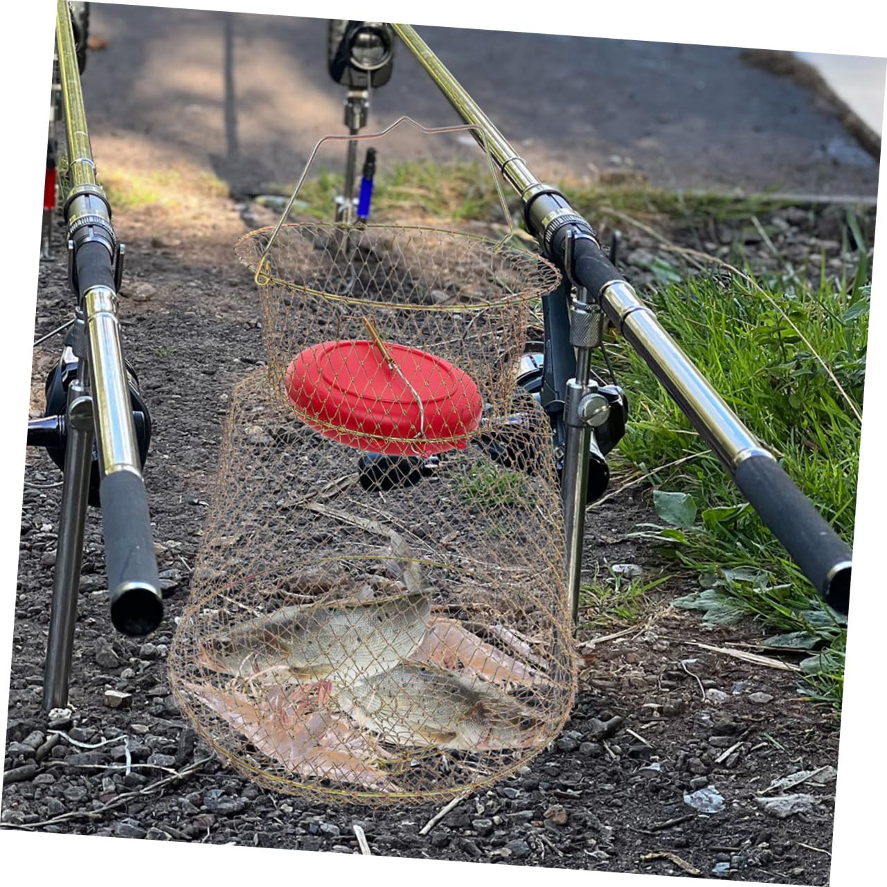 Kisangel Panier à Poisson en Fer Panier à Crevettes pour La Pêche Filet De Pêche Panier à Poisson Flottant Pièges Panier à Poisson pour Poisson Pêché Panier à Poisson Pliable Le Fer