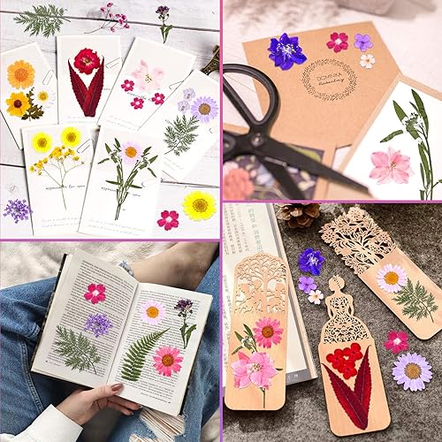Miniatura 2 de 140 piezas de flores secas prensadas para resina, flores prensadas reales, hojas secas, kit de hierbas naturales a granel para álbumes de recortes,