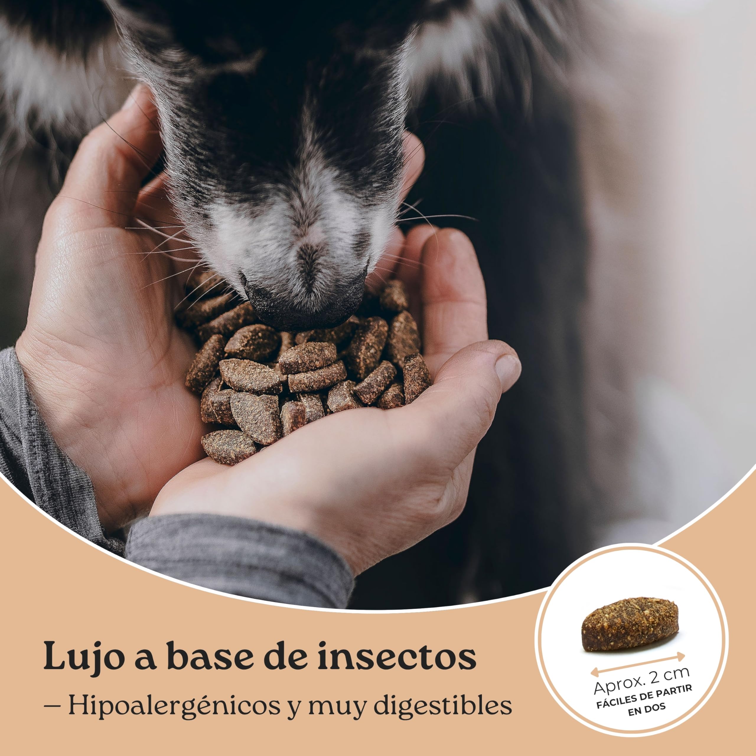 Luxx Rewards – Pack 10×150 g – Snacks Hipoalergénicos sin Cereales con Proteína de Insectos para Perros – Apoyo a Movilidad e Inmunidad – Premios Super Premium