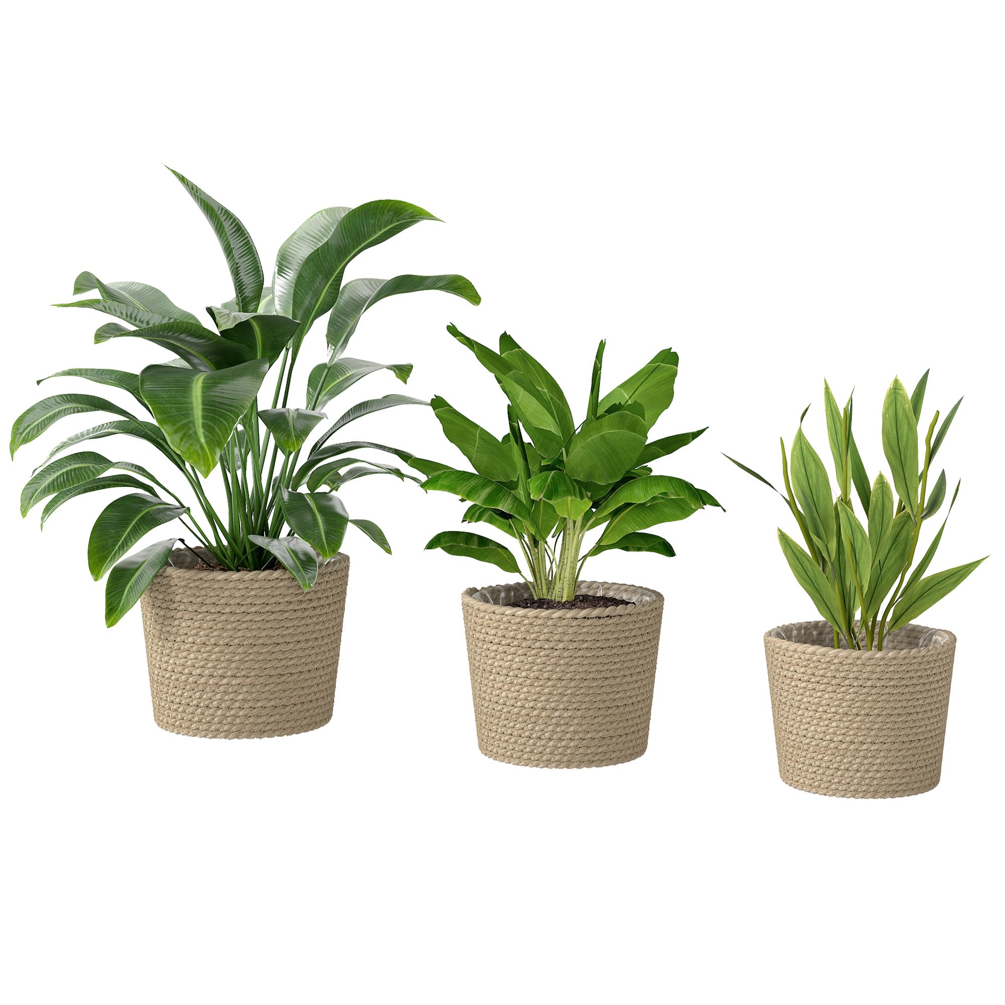 Outsunny Unisex Natural Seagrass Plant Pots Flower Planters Bohemian Style Set Of 3