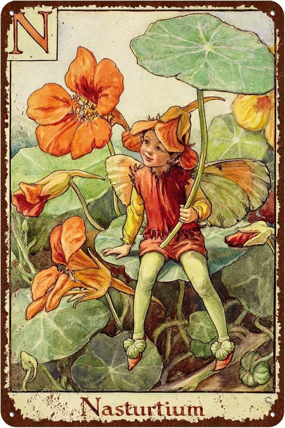 Flower Fairy Signs Vintage Garden Tin Signs Nasturtium - Letter N Wall Decor Metal Signs - Retro Fairy Garden Decor 6x8 Inch