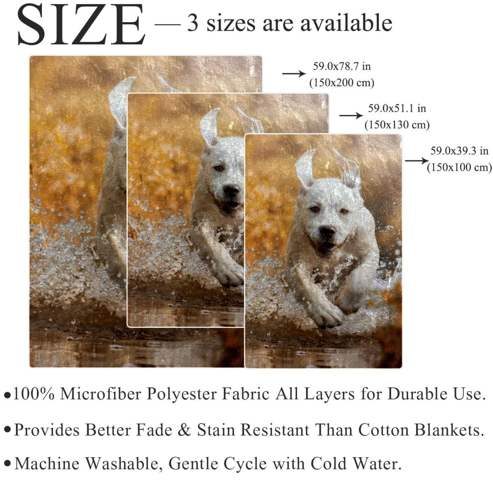 Couverture Polaire Chien Blanc Couverture Microfibre Chaude Et Douce Jeté De Canapé Couverture 150×200cm