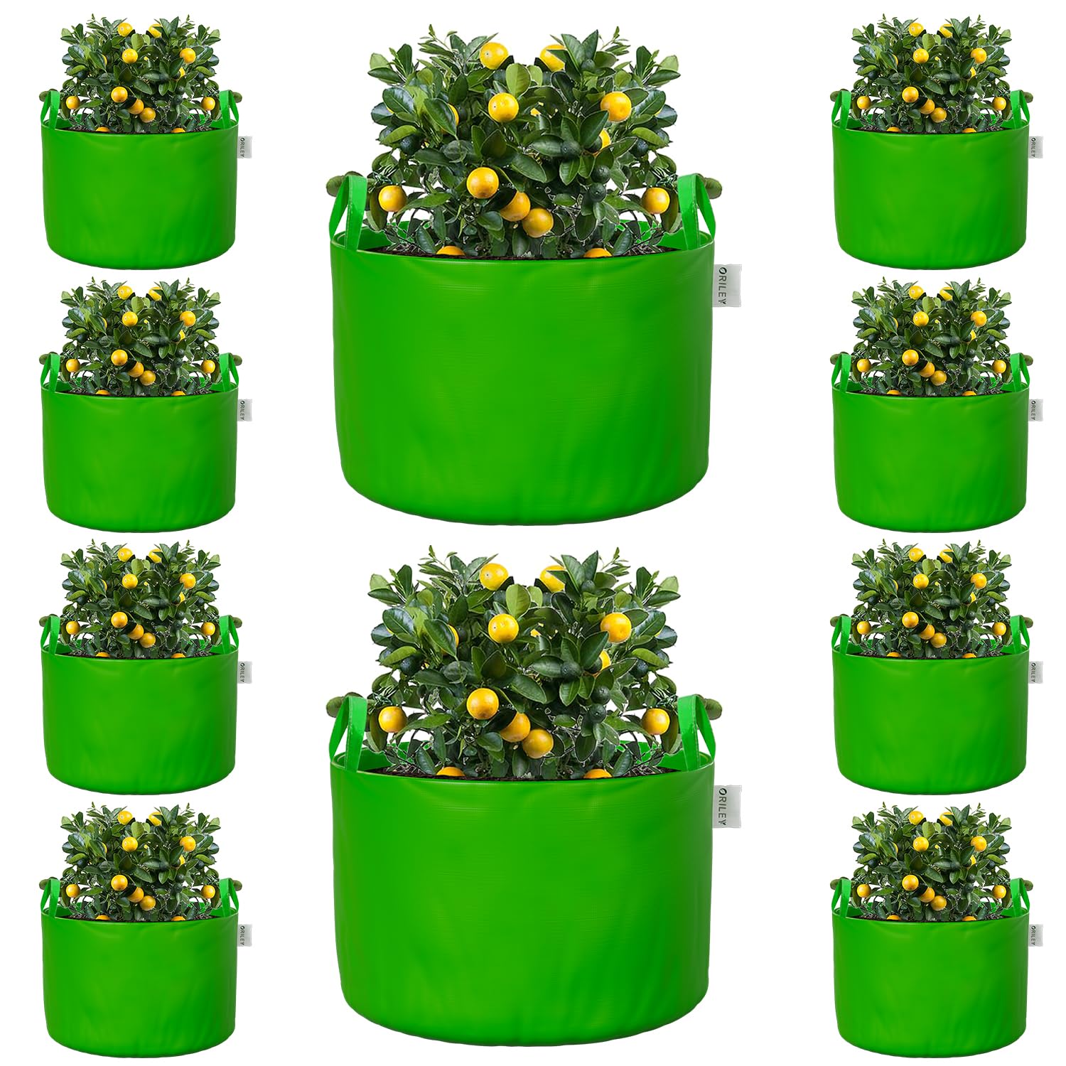 Oriley Grow Bags - Durable Plant Containers -19 Oriley Grow Bags - Durable Plant Containers -19