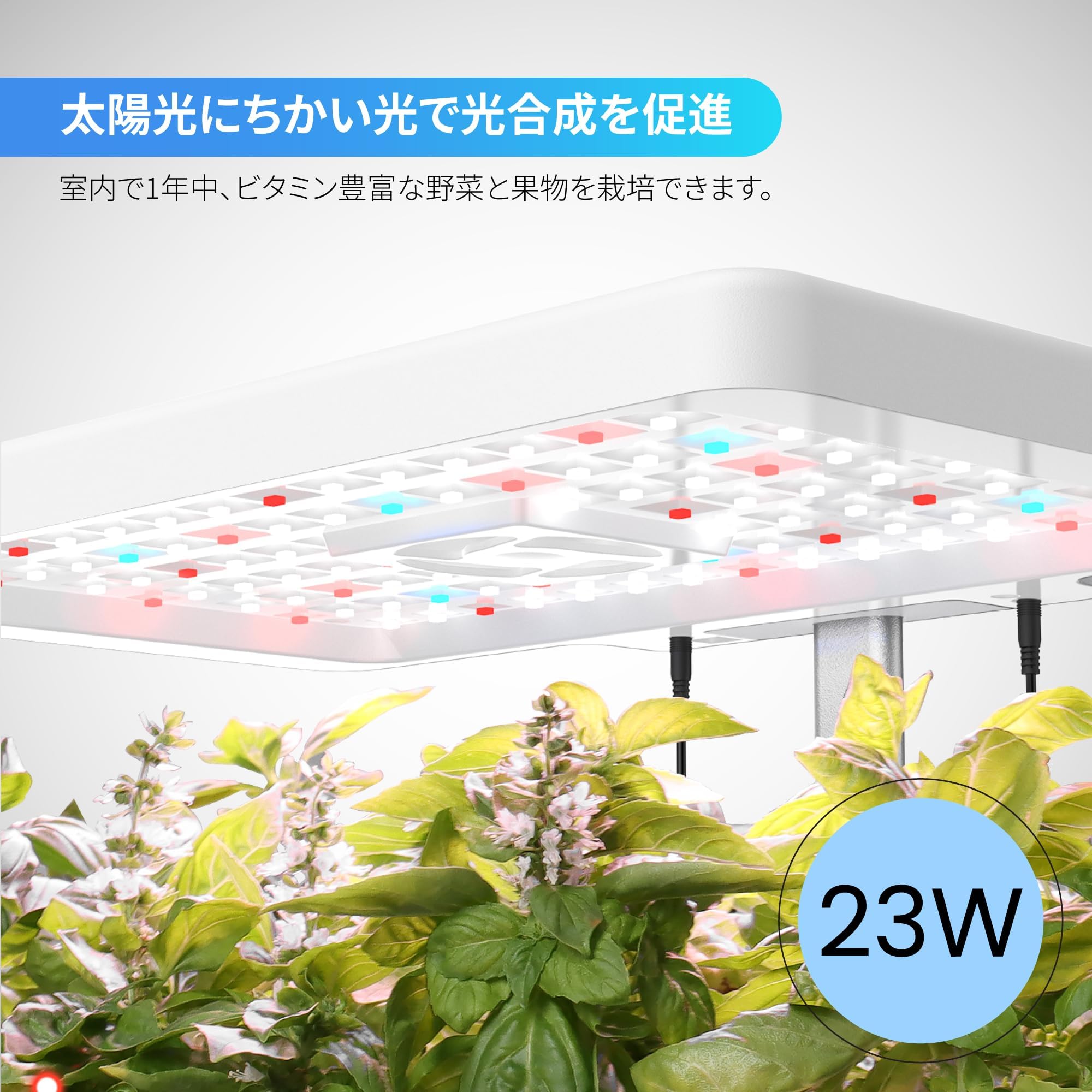 Amazon.co.jp: 水耕栽培キット 水耕栽培 セット 室内 植物育成