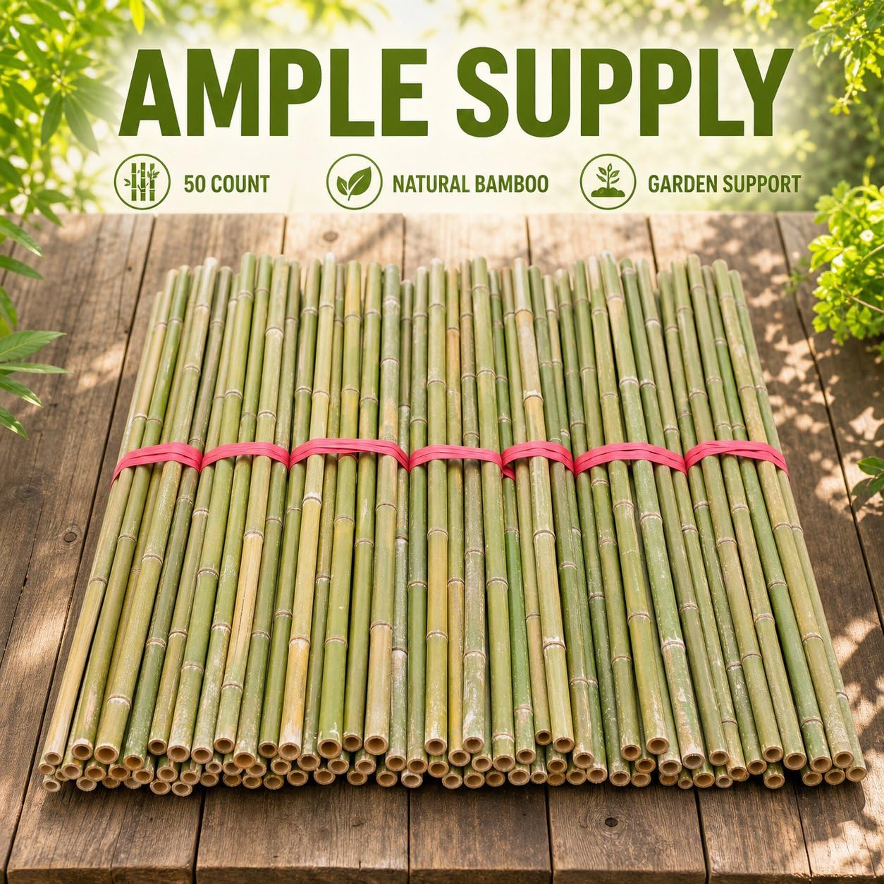 Tutores para Plantas Bambú, Cañas para RAS 200cm, Estacas para Resistentes, Varillas para s, Verde (más de 2 Metros, la raíz Tiene Punta, contactar para envío SF), 50 Unidades