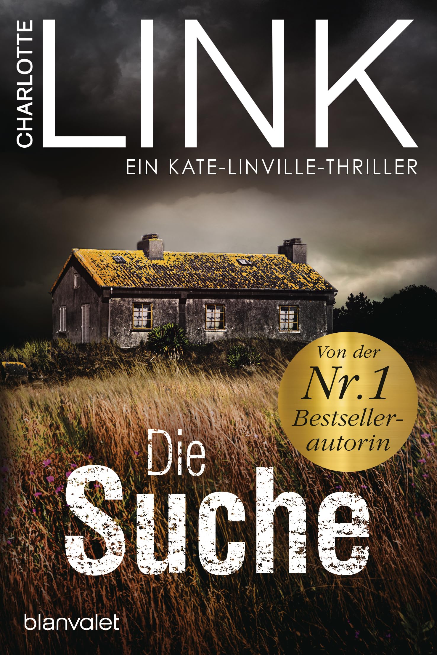 Die Suche: Der Bestseller jetzt als Taschenbuch