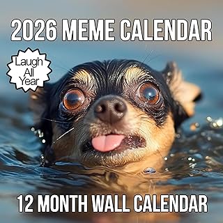 2026 Memes Wall Calendar | 12 Months of Hillarious Memes/Jokes to Keep You Laughing All Year, Funny White Elephant Gift For Him or Her, Give Them Something That Will Make Them Smile