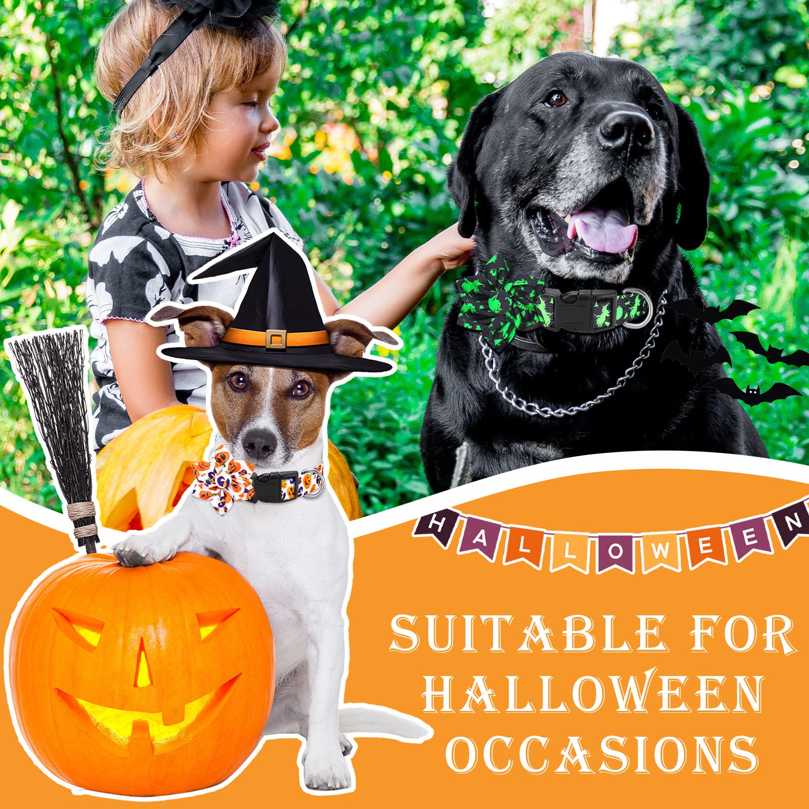 10/15 Stück Halloween Hundehalsbänder Mit Blumen-Charms – Verstellbar Für Kleine/mittlere Haustiere