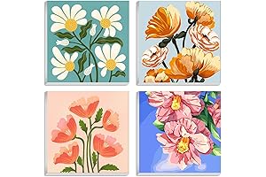 Amphol Paint by Numbers for Adults with Frames