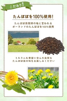 ママセレクト たんぽぽ茶 無添加 国内焙煎 ティーバッグ 2g×30包