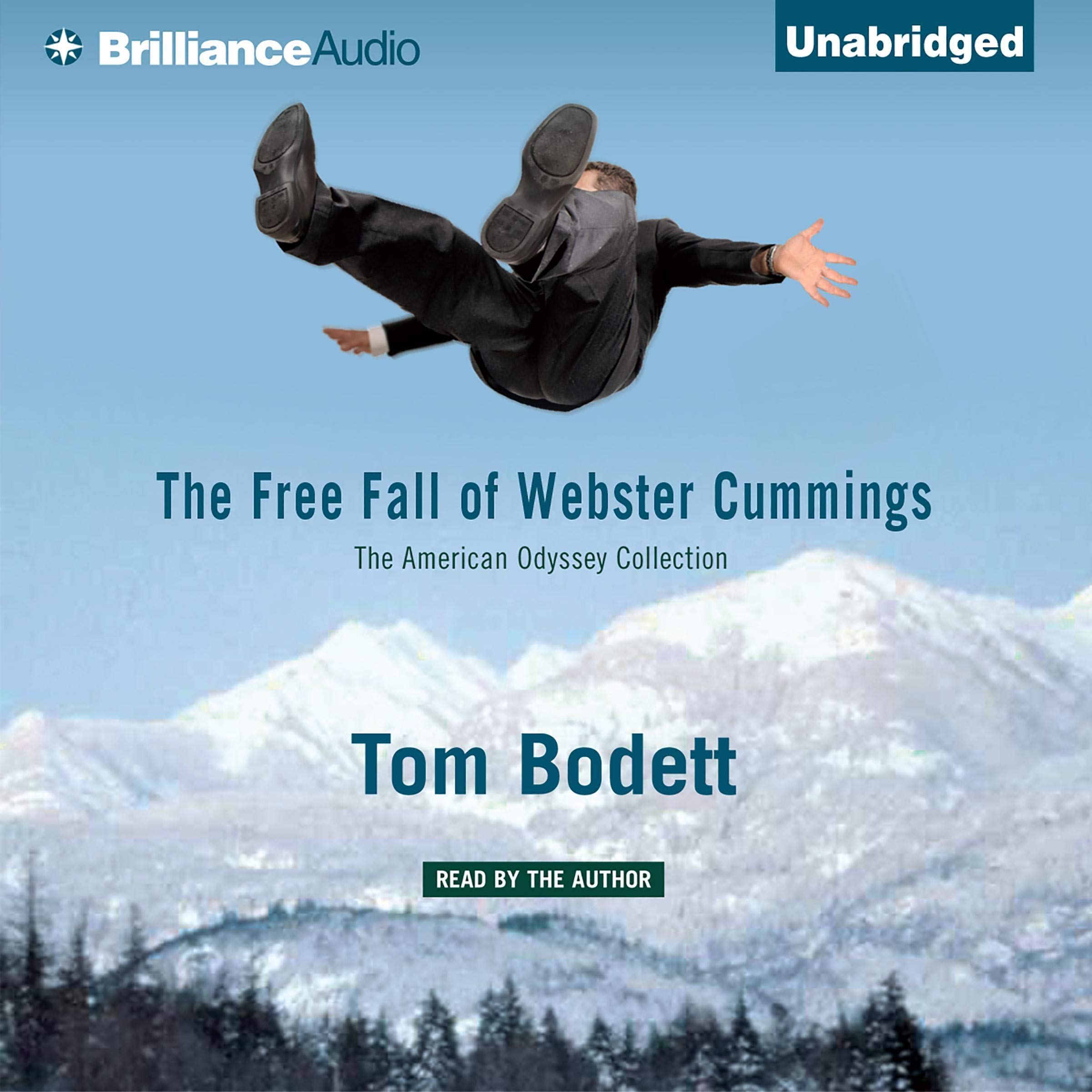 Cover art for The Free Fall of Webster Cummings