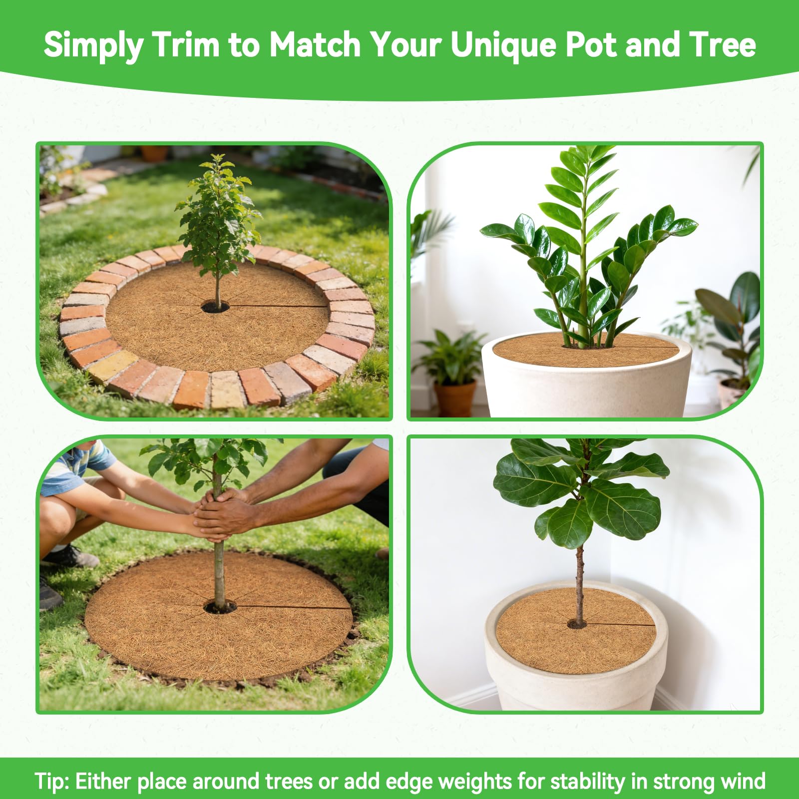 coco　30枚 Amazon.com : ZeeDix 3 Pack Coconut Fiber Mulch Ring, 30 Inch Coco